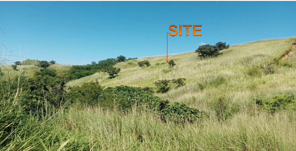 Slide 1